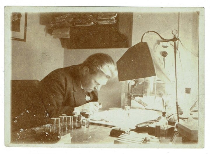Władysław Szafer przy opracowywaniu flory dyluwialnej ze Staruni (1929 r.). Fotografia pochodzi z archiwum rodzinnego Władysława Szarskiego