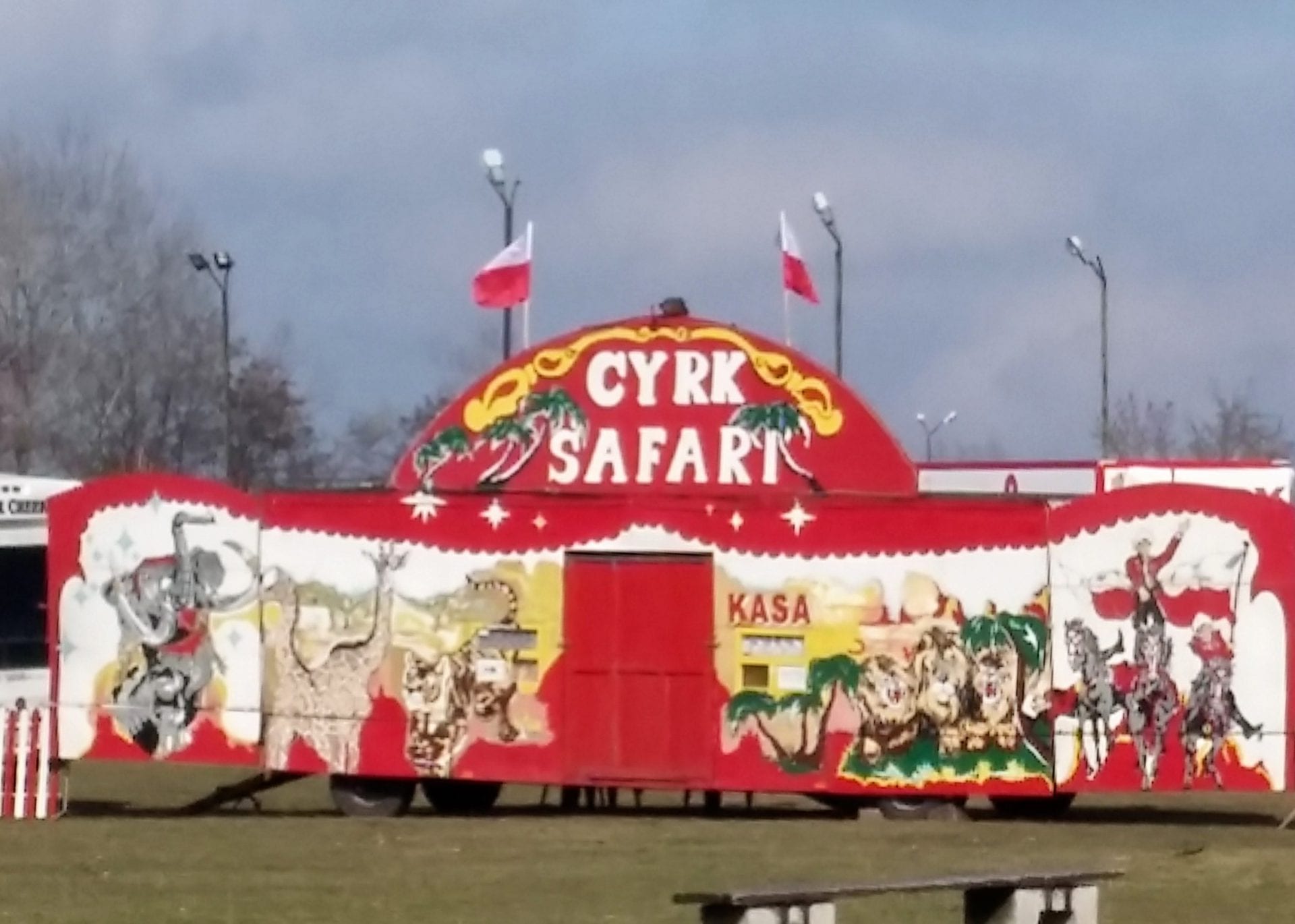 cyrk safari wroclaw