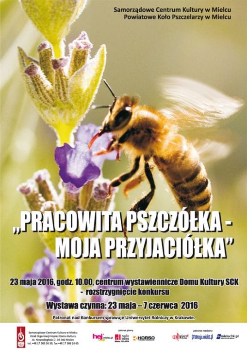 pracowita_pszczolka